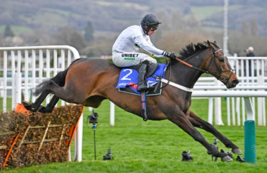 How Horse Racing Can Be More Sustainable: Innovative Solutions for the Sport
