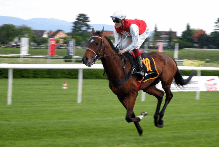 How Horse Racing Horses Are Named: A Tradition and a Process