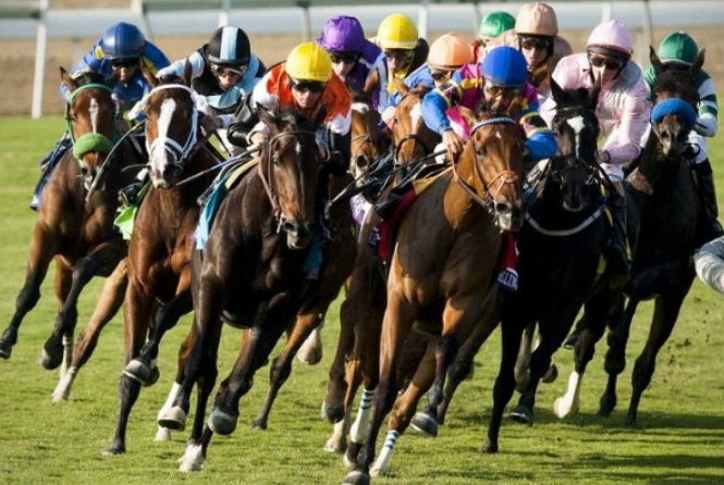 How Horse Racing Supports Animal Welfare: A Look at the Industry's Efforts