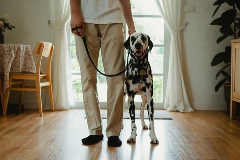 caller reputation assessment alert